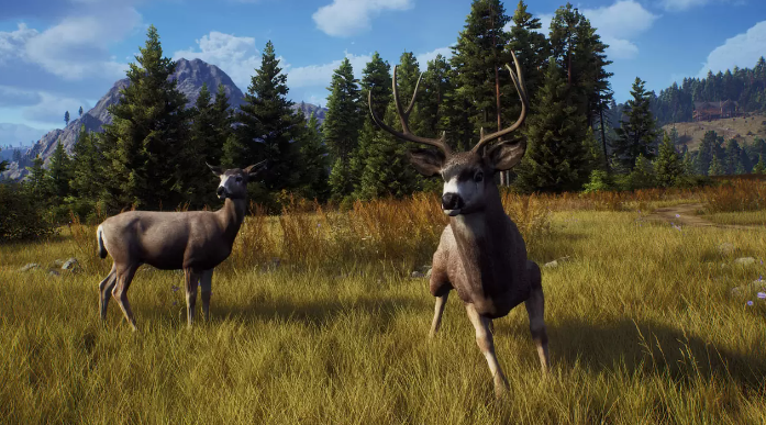 《狩猎之道》PC版更新修复上线 主机版稍后推出