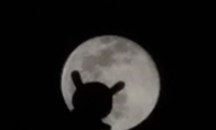 小米10 Pro AI 相机拍月亮模式被玩嗨：米兔登月