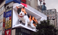日本新宿东口突现巨型猫咪 引发路人围观网友热议