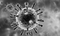 疾控中心：3名回国人员疑从印度感染变异新冠病毒