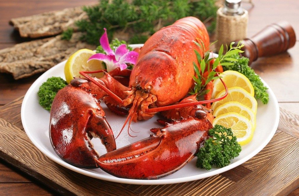 英国拟禁止煮食龙虾螃蟹等活物：它们也有痛感和知觉