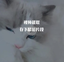 视频编辑王app