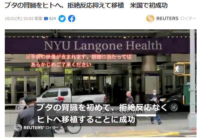 纽约大学世界首例猪肾移植人体手术成功 3天未排异