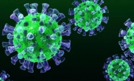 专家详解新冠病毒：传染性强排毒比SARS和流感时间长
