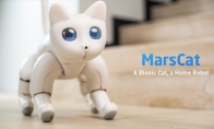 对标索尼爱宝狗？！新机器宠物猫“火星猫”人气众筹开启