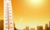 今年夏天有点热！非洲打破历史最高温纪录：51度