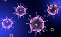 专家警告新型致命流行病猴天花：或是下个西班牙流感！