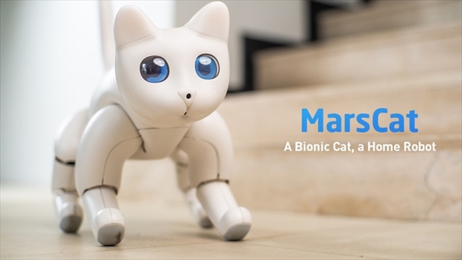 对标索尼爱宝狗？！新机器宠物猫“火星猫”人气众筹开启