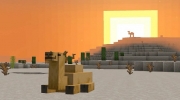 《我的世界》1.20升级档将于明年发布 玩家可以饲养骆驼