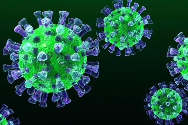 专家详解新冠病毒：传染性强排毒比SARS和流感时间长